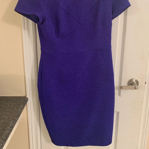 Purple Ted Baker Dress - Picture 2 of 4